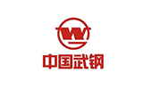 中國(guó)武鋼橡膠接頭案例